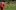 29. Spieltag 2022/2023
